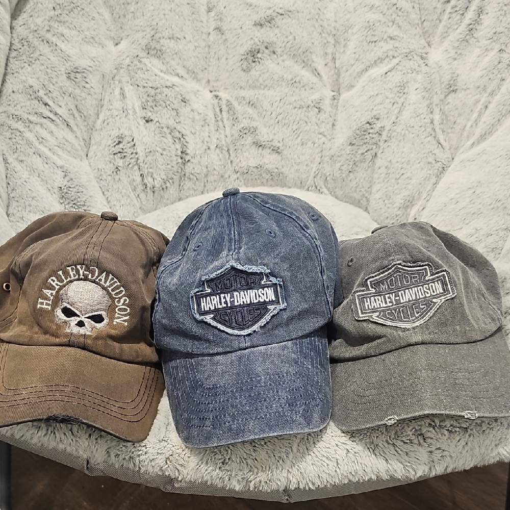 Harley-Davidson Skull and Logo Caps in Brown, Blue, and Gray